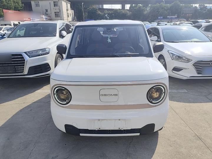 2024 Panda mini 200km Endurance Bear photo 2