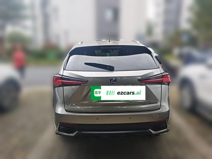 NX 2020 300h FWD China VI photo 5