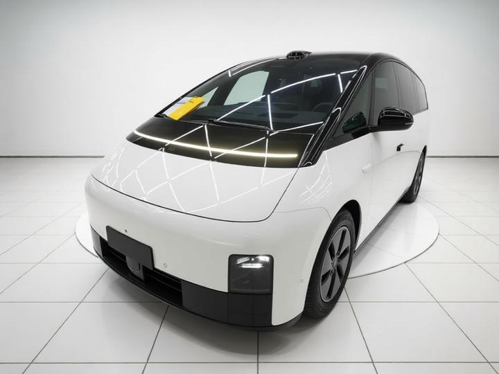 Li MEGA 2025 Home Family Special