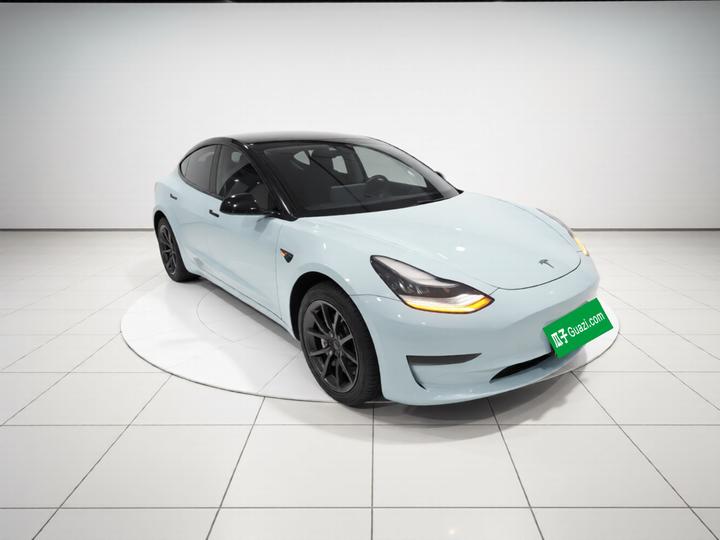 Model 3 2020 Long Range RWD photo 3