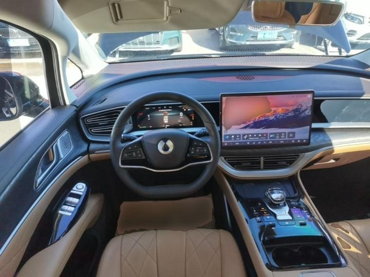 D9 2024 DM-i 980 AWD Premium photo 6