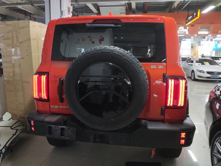300 2021 Off-road 2.0T Conqueror photo 3