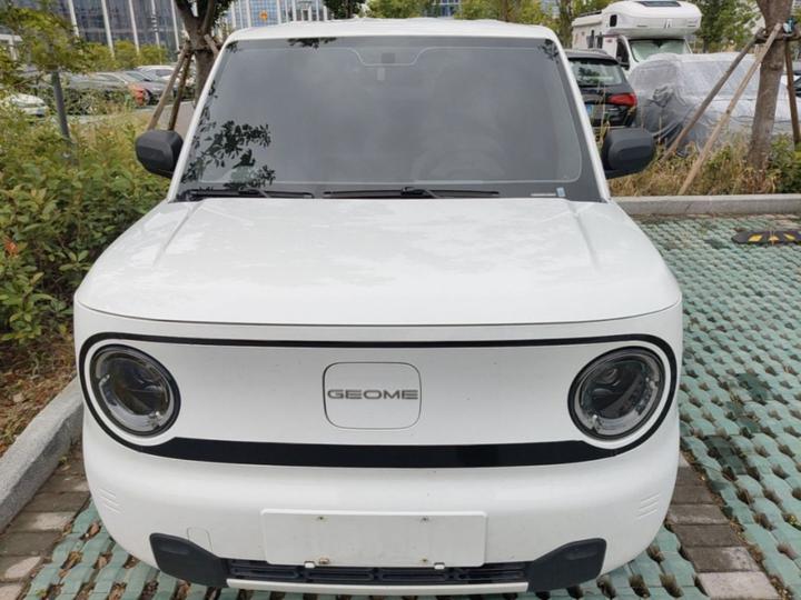 2024 Panda mini 200km Endurance Bear photo 2
