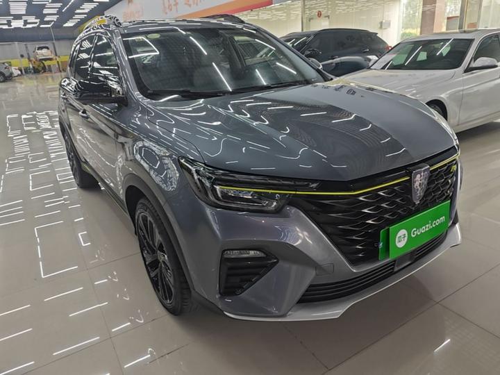 RX5 EV 2020 ePLUS Luxury photo 3