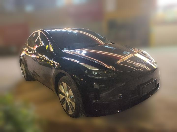 Model Y 2021 Standard Range RWD photo 3