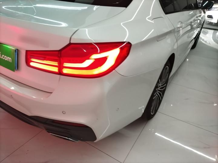5 Series 2019 530Li Leading M Sport Package photo 7
