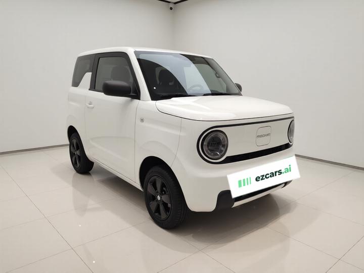 2024 Panda mini 200km Endurance Bear photo 3