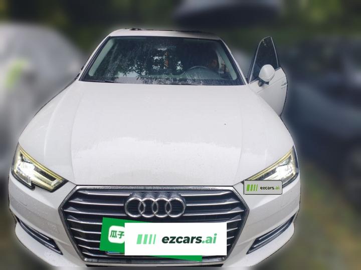 A4L 2018 30 Anniversary 40 TFSI Progressive photo 2