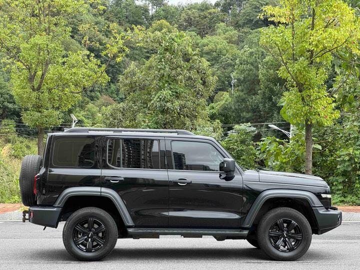 300 2021 Off-road 2.0T Conqueror photo 4