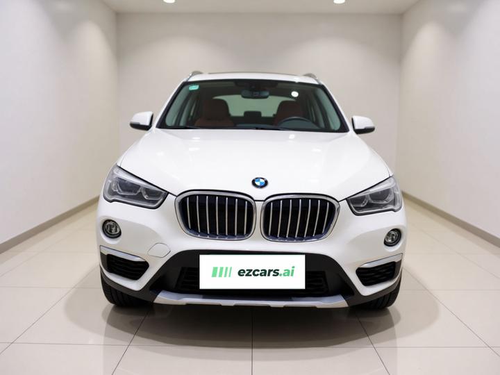 X1 2019 xDrive20Li Exclusive photo 2