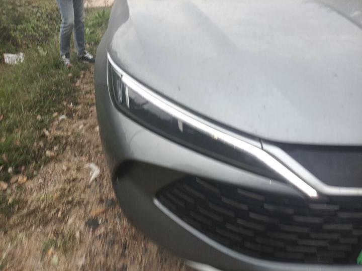 Qin L 2024 DM-i 80KM Leading photo 7
