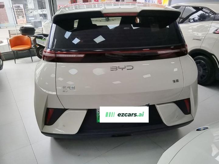 Seagull 2025 ADAS 305km photo 3