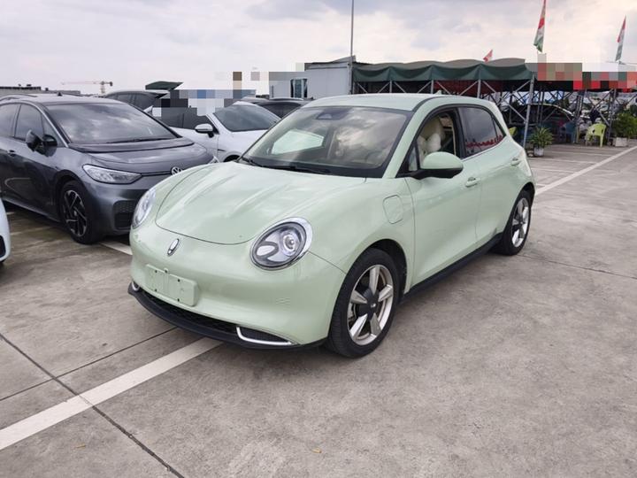 Good Cat 2023 401km Standard Range Luxury LFP