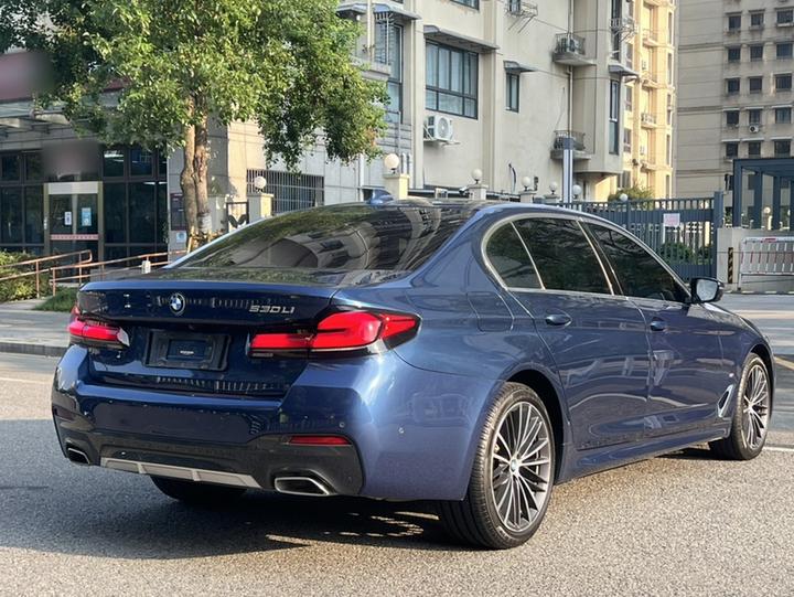 5 Series 2021 530Li Leading M Sport Package photo 7