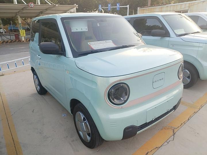 2024 Panda mini 200km Endurance Bear photo 3