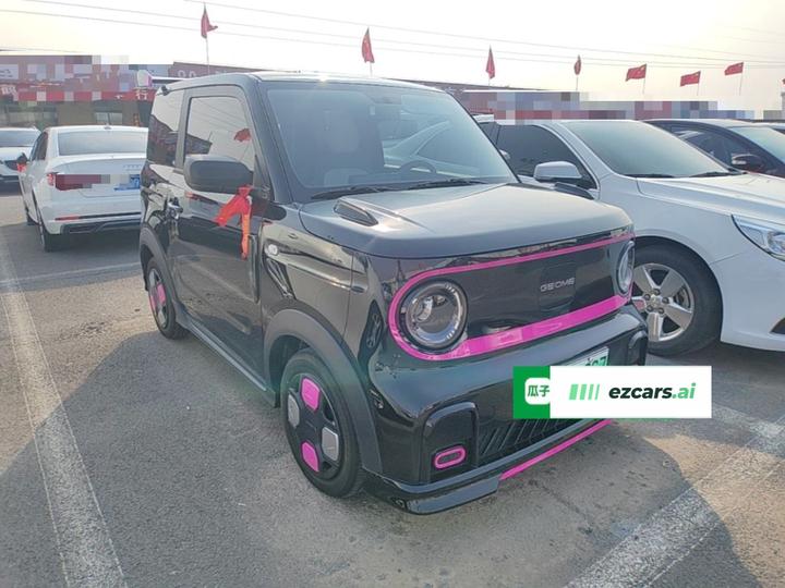 2025 210km Panda photo 3