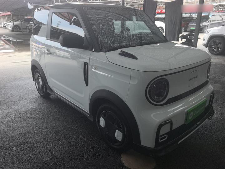 2025 210km Panda photo 2