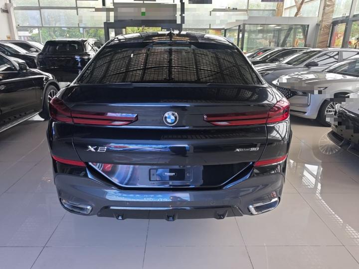 X6 2020 xDrive30i M Sport Package photo 5