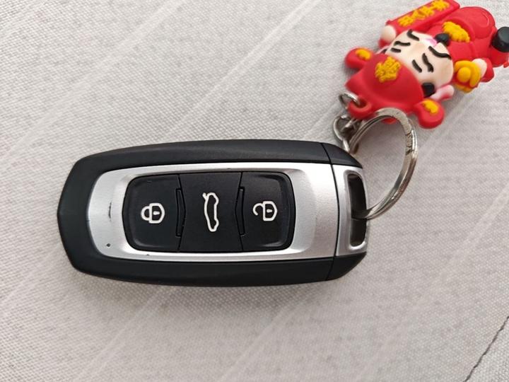 2025 Panda mini 210km Yuan photo 8