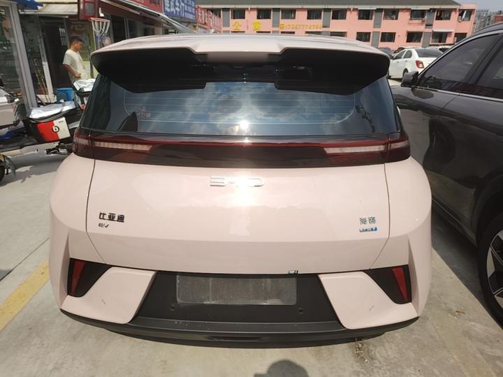 Seagull 2025 ADAS 305km photo 5