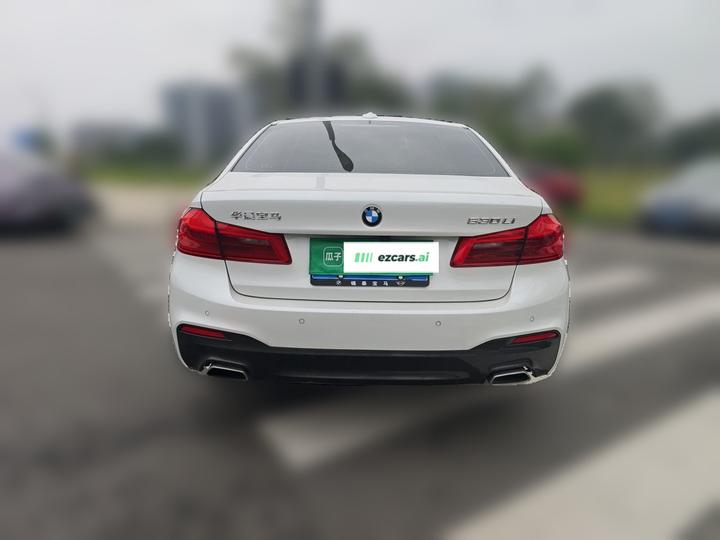5 Series 2020 530Li Leading M Sport Package photo 5