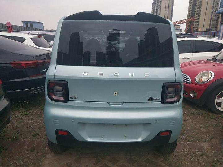 2023 Panda mini 200km Endurance Bear photo 3