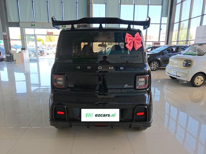 2025 210km Panda photo 3