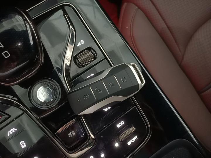 Han 2020 EV Extended Range Luxury photo 8