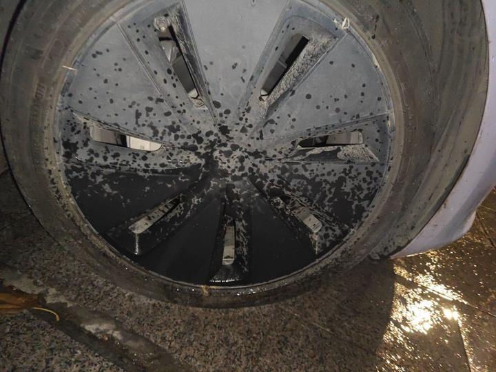 Model 3 2025 RWD photo 8