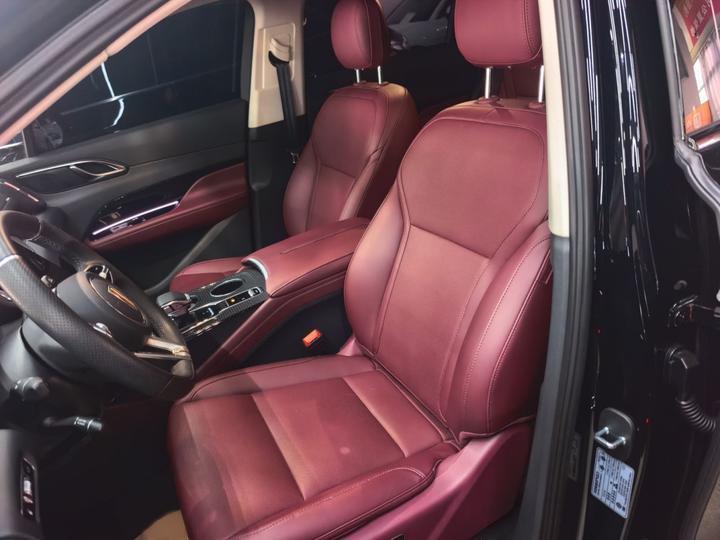 HS3 PHEV 2025 125km 200 Anniversary Edition photo 8