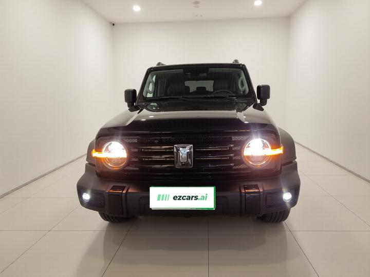 300 2023 Off-road 2.0T Conqueror photo 2