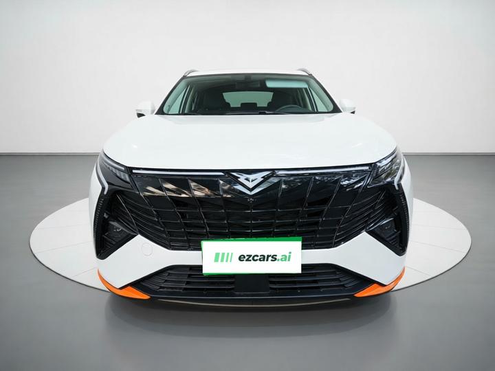 Cowin 2023款 昆仑 300 高原版 photo 2