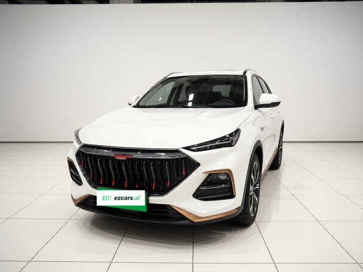 X5 2021 Facelift 1.5T DCT Luxury photo 2