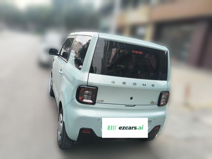2024 Panda mini 200km Endurance Bear photo 4