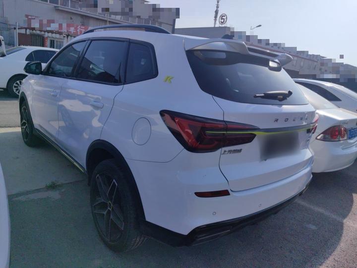 RX5 EV 2021 ePLUS Luxury photo 4