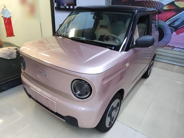 2023 Panda mini 200km