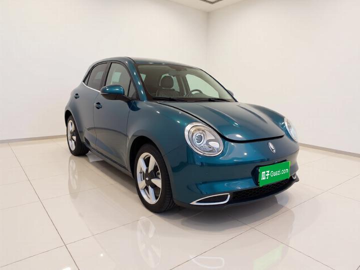 Good Cat 2023 401km Standard Range LFP photo 3