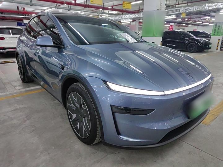 Model Y L 2025 Long Range AWD photo 3