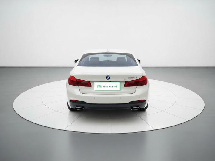 5 Series 2019 530Li Leading M Sport Package photo 5
