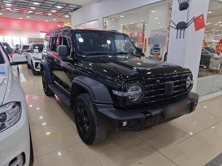 300 2023 Off-road 2.0T Conqueror photo 3