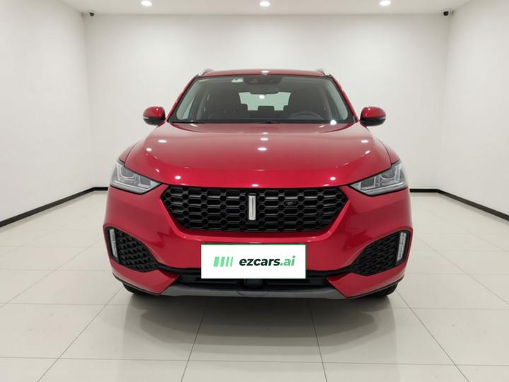 VV6 2018 2.0T AWD China V photo 2