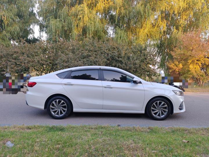 Binrui 2019 200T MT photo 4