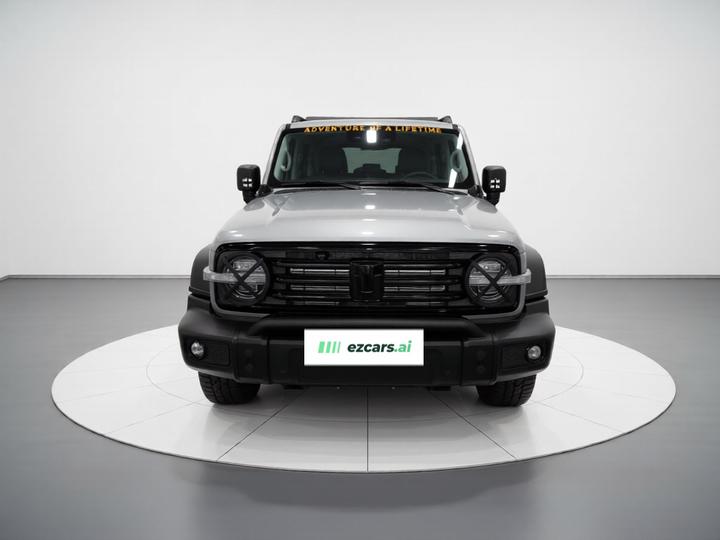 300 2024 2.0T Conqueror photo 2