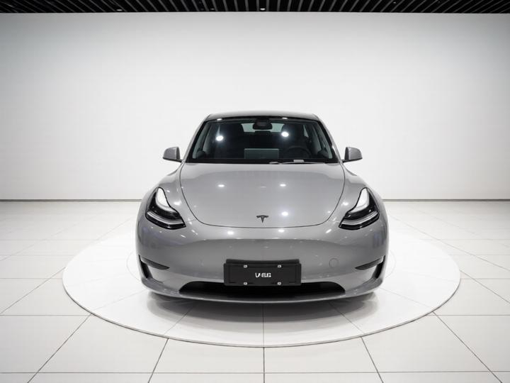 Model Y 2021 Long Range AWD photo 2