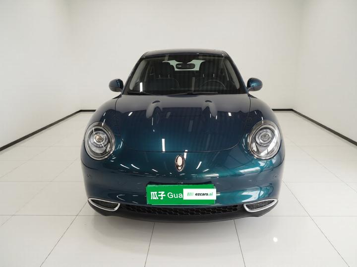 Good Cat 2024 401km Luxury photo 2