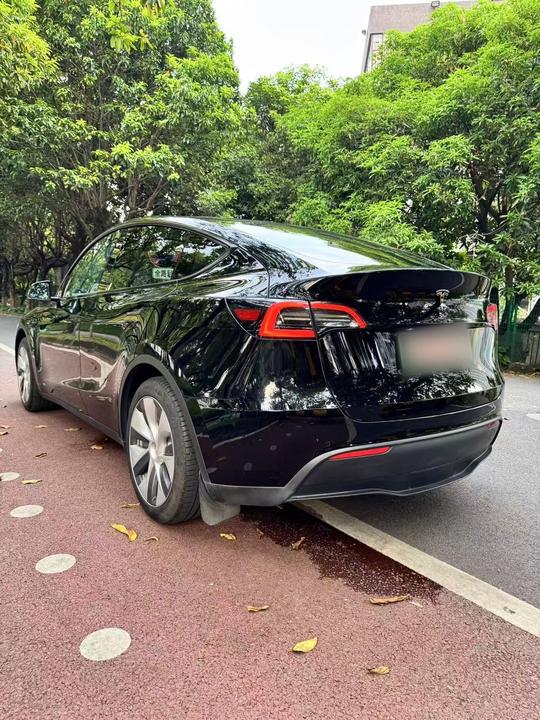 Model Y 2022 Facelift RWD photo 3