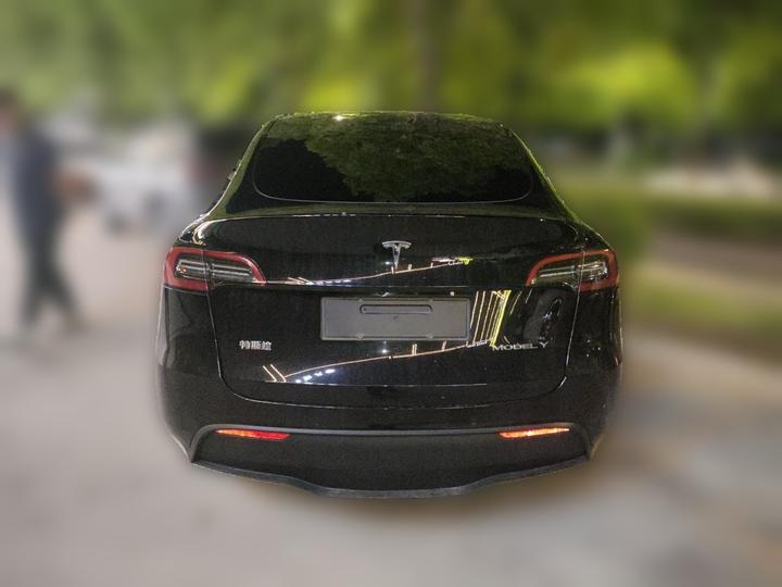 Model Y 2021 Standard Range RWD photo 5