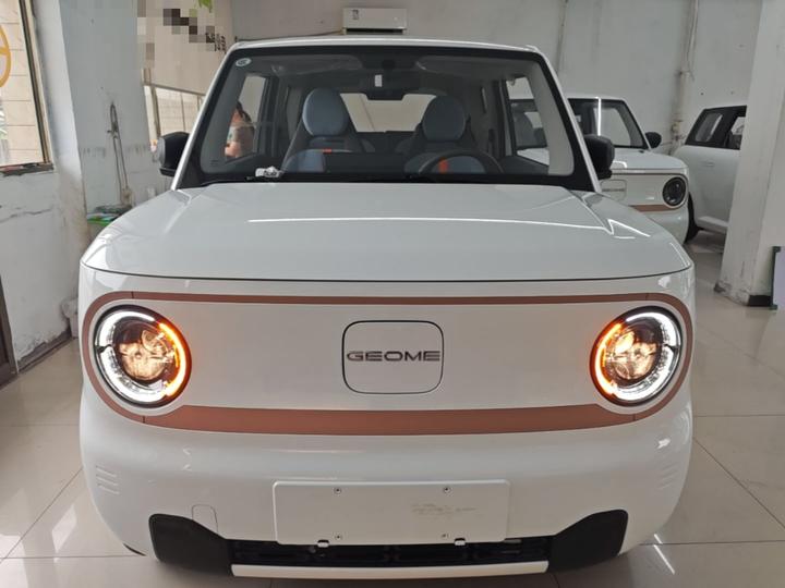 2024 Panda mini 200km Endurance Bear photo 2