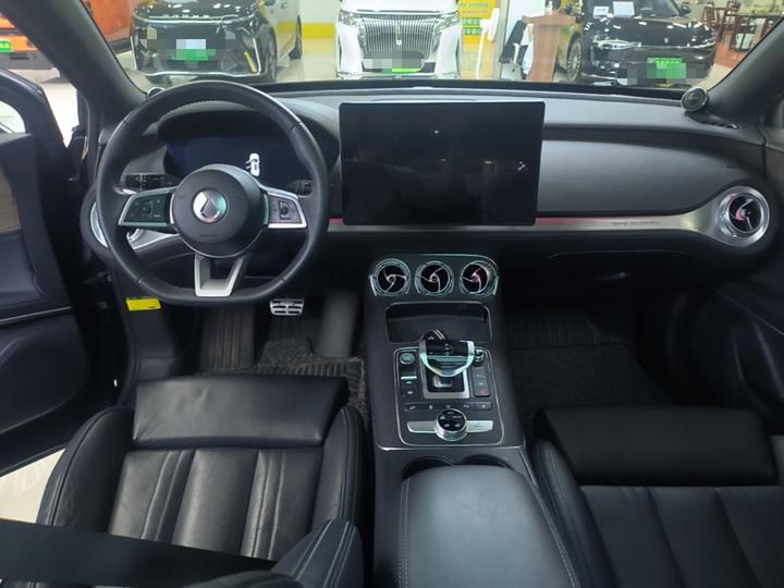 X 2020 PHEV Flagship photo 5