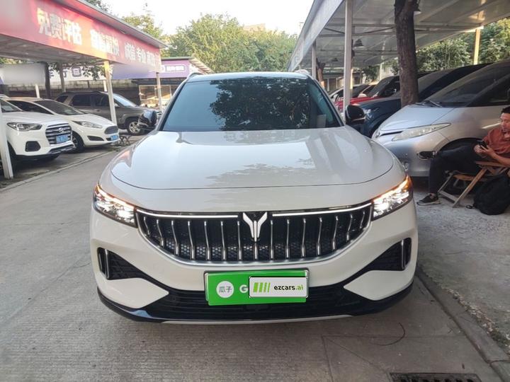 Voyah FREE 2021 AWD Standard EV Luxury photo 2